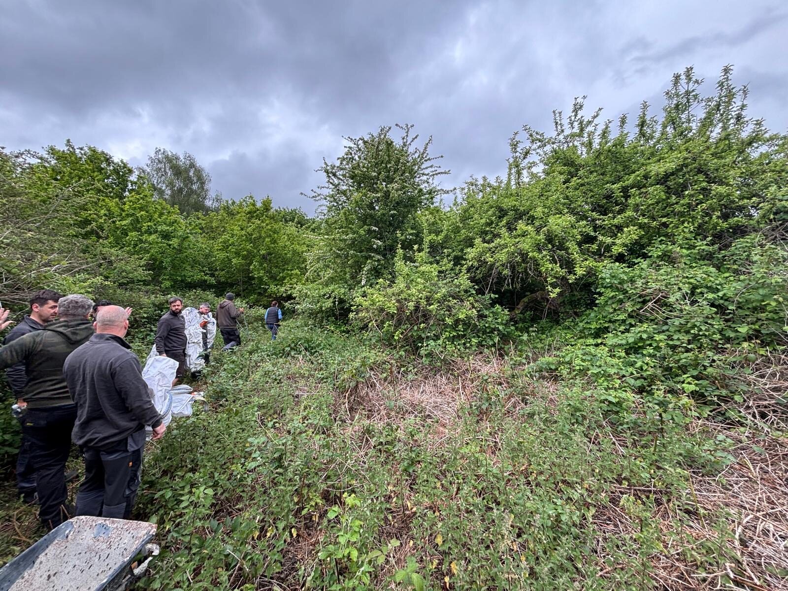 British Gas Volunteering Day
