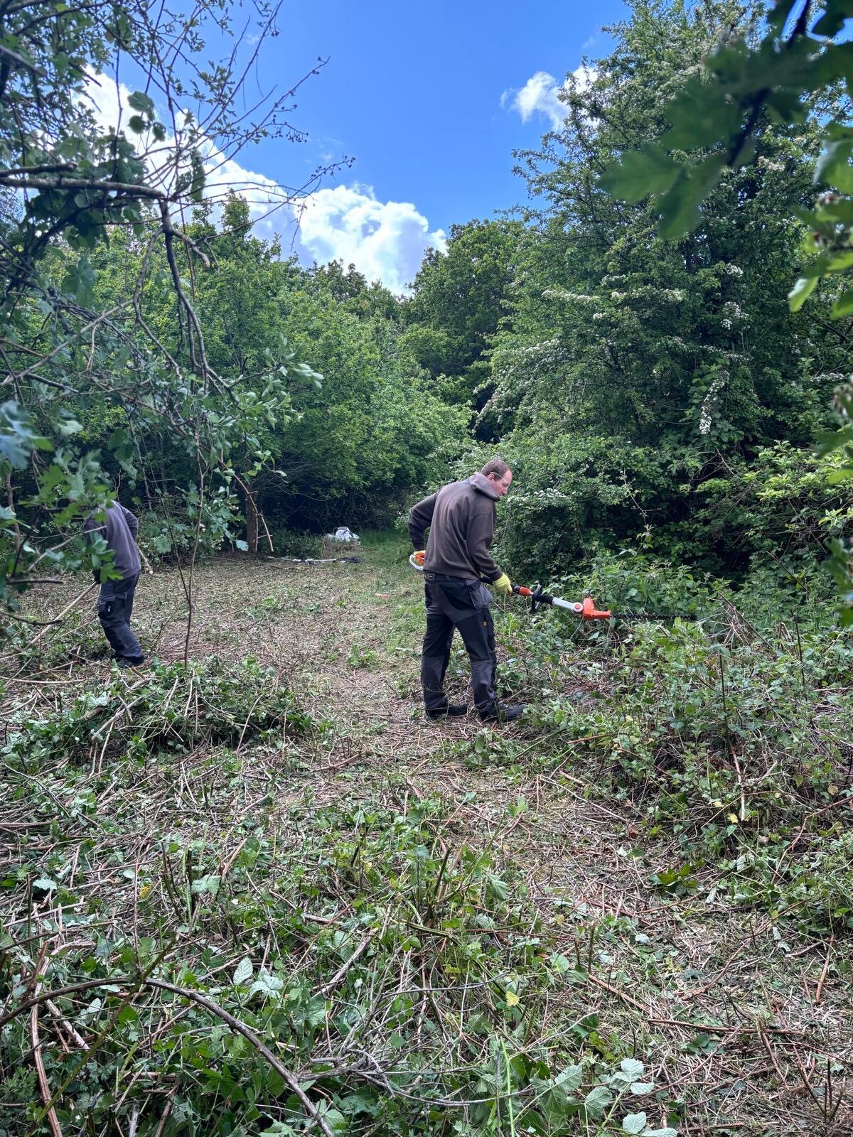 British Gas Volunteering Day