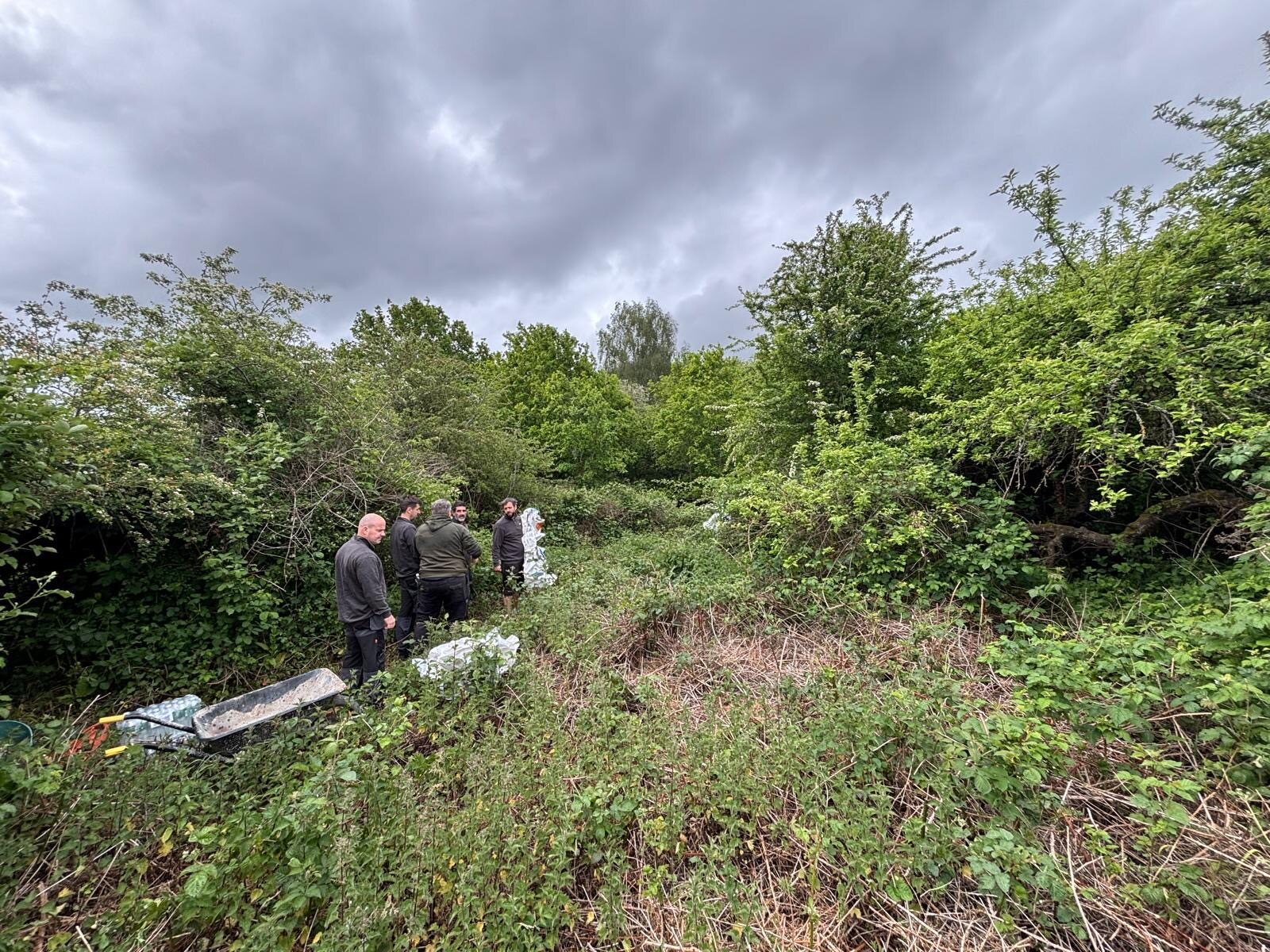 British Gas Volunteering Day