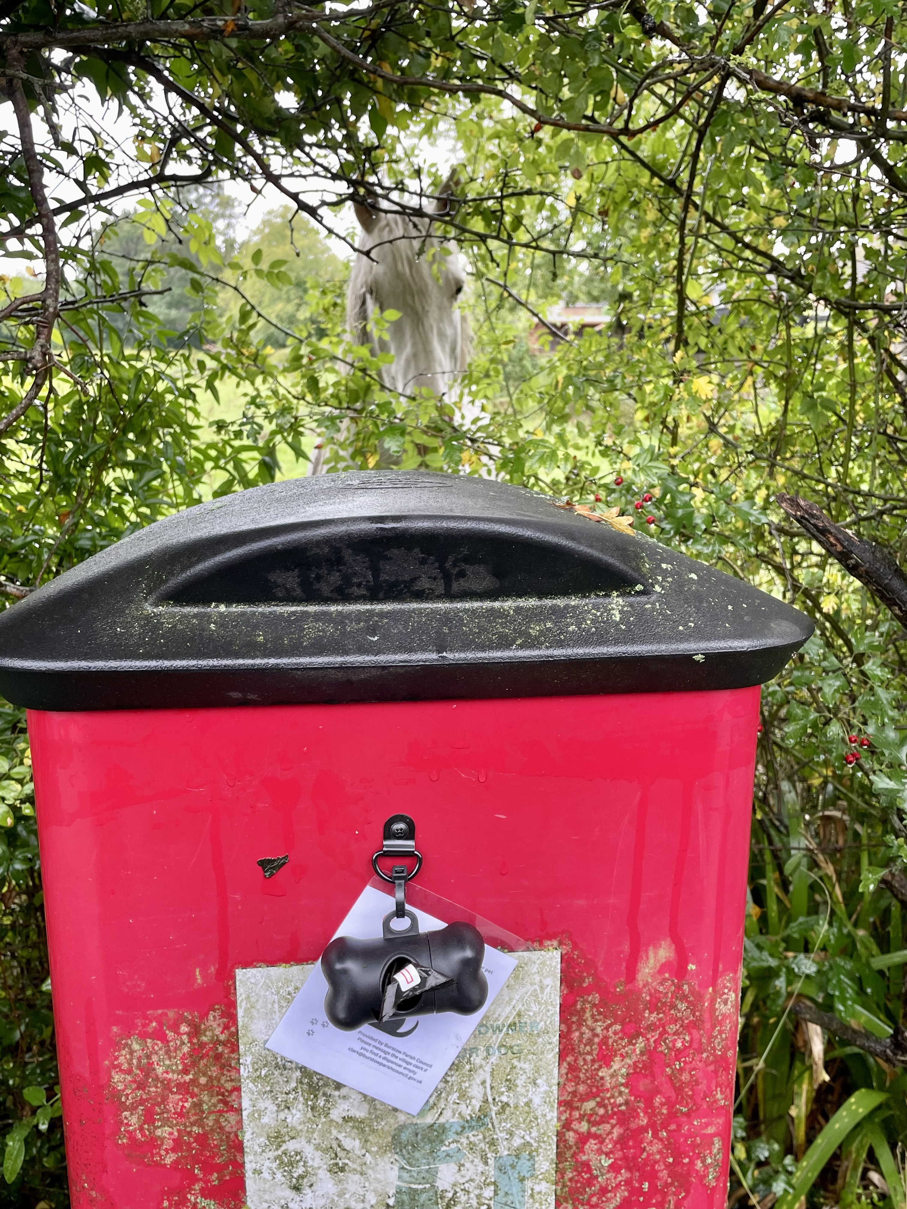 Dog Poo bag dispensers